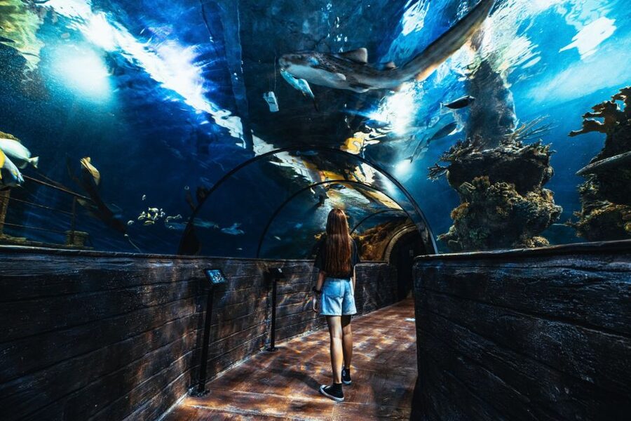 St Paul's Bay: Malta National Aquarium Entry Ticket - Where to Eat, Rest, and Refuel Inside