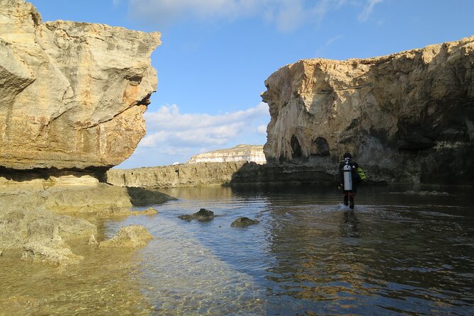 Two Morning Dives in Gozo for Certified Diver - Price and value: $181.02 for two morning sessions, not just one