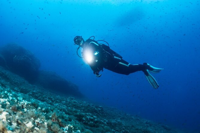 Two Morning Dives in Gozo for Certified Diver - The ride and the briefing: how they set you up for a calm morning