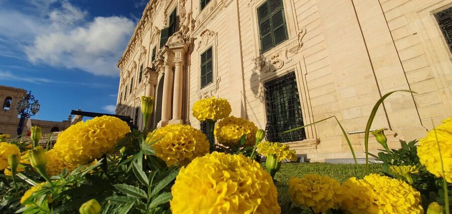 Valletta: Food Walking Tour with Tastings - Should you book this tour?