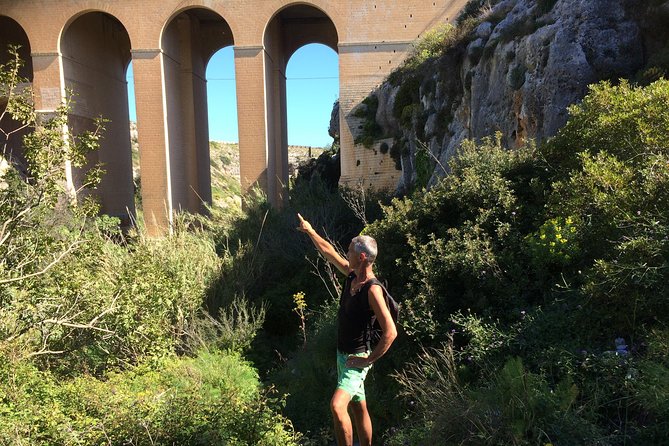 Victoria Lines Tour - Price and value: $36.12 for a private guided hike with free entry