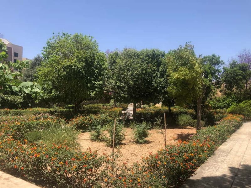 Visit Tarxien Temples, Kalanka Bay, Blue Grotto, Marsaxlokk - Key things that make this tour work
